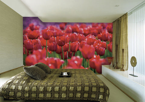 Red Tulip Wall Paper Wall Print Decal Wall Deco Indoor wall