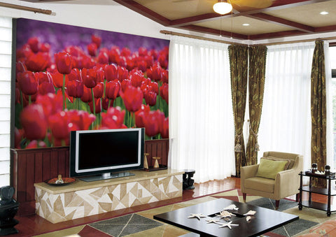 Image of Red Tulip Wall Paper Wall Print Decal Wall Deco Indoor wall